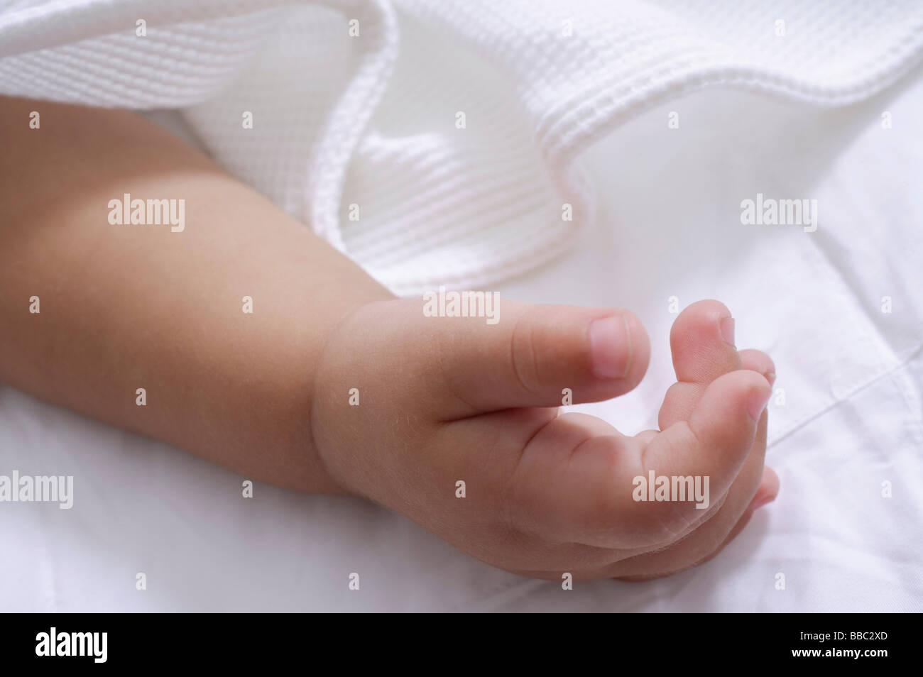 baby's hand Stock Photo