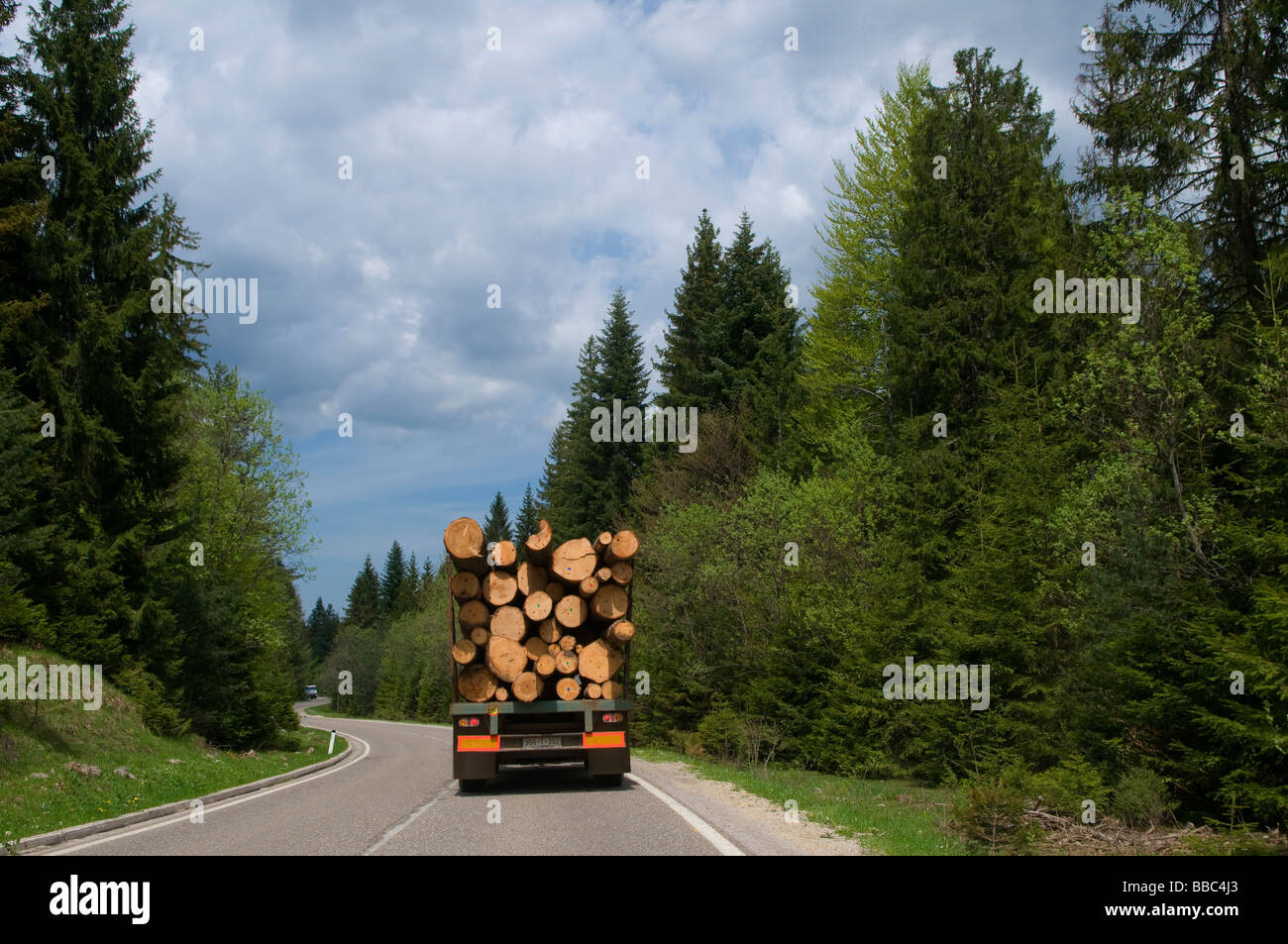 A truck carrying pile of trunks of cut trees in a motorway in Republika Srpska, an entity of Bosnia and Herzegovina Stock Photo