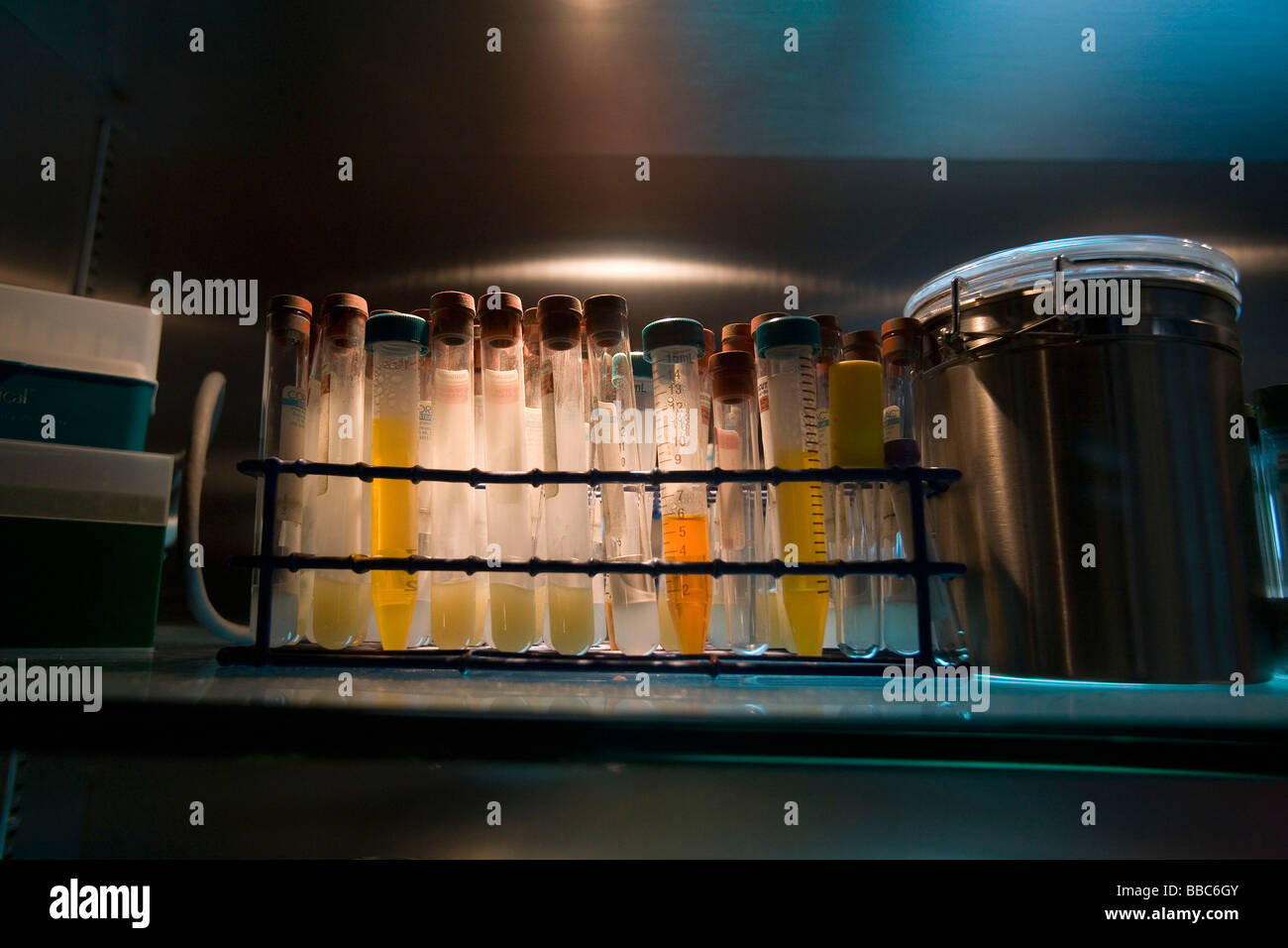 Tests tubes in laboratory Stock Photo Alamy