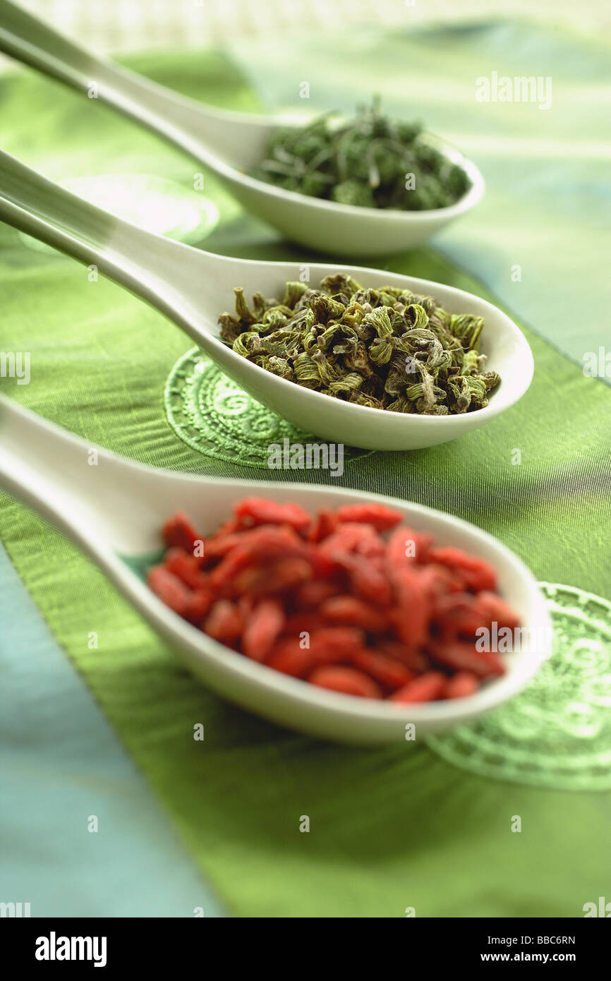 Still life of Chinese  spoons with spices in a row Stock Photo
