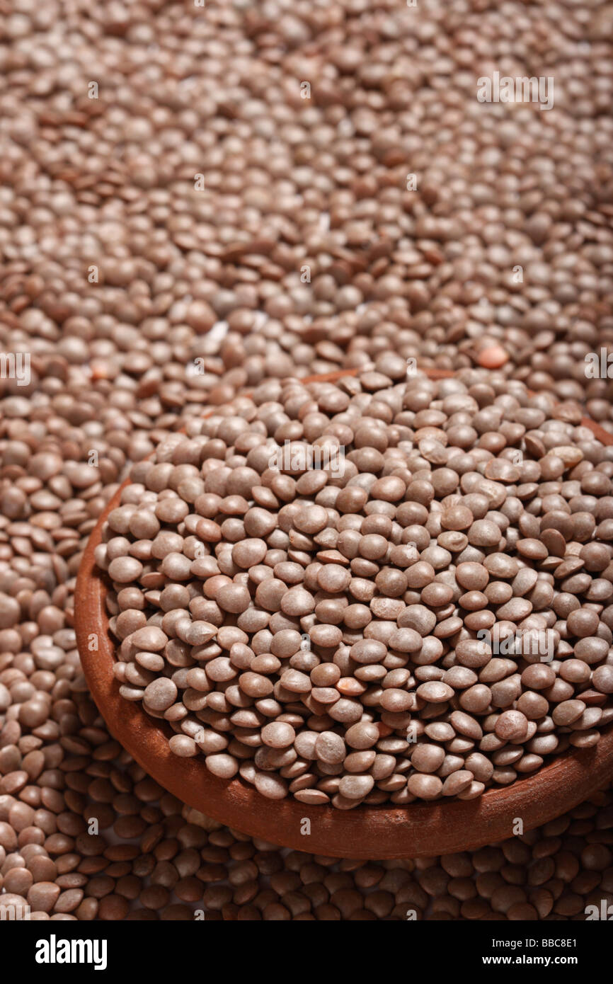 Dal food indian ingredient legume protein pulse pulses vegetarain hi