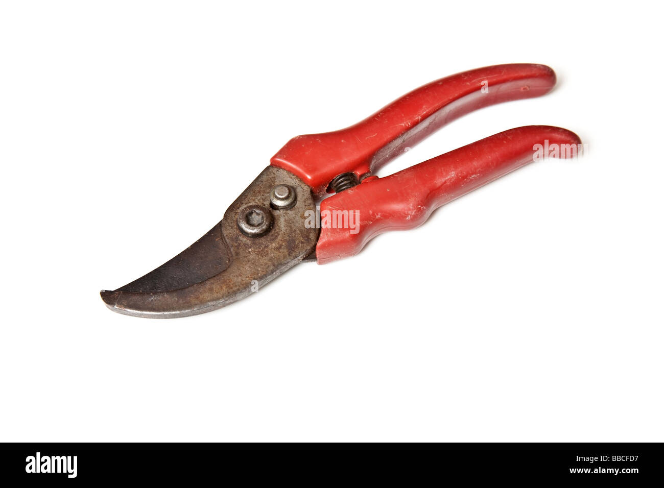 Secateurs or garden scissors isolated on a white studio background