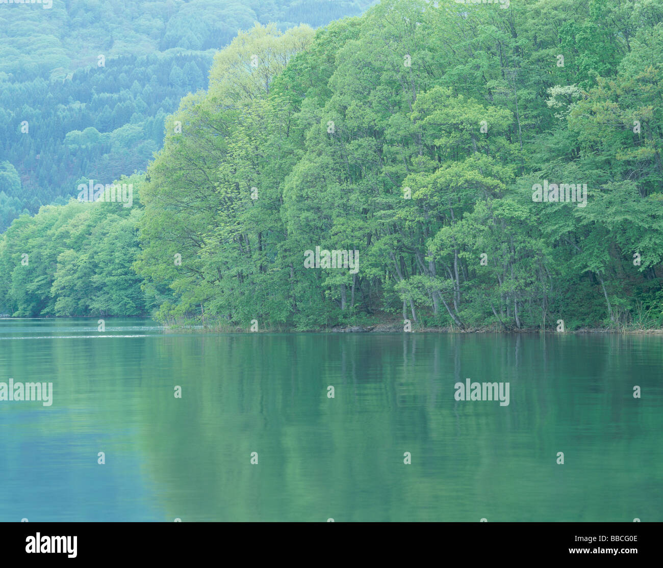 Lake in a forest hi-res stock photography and images - Alamy
