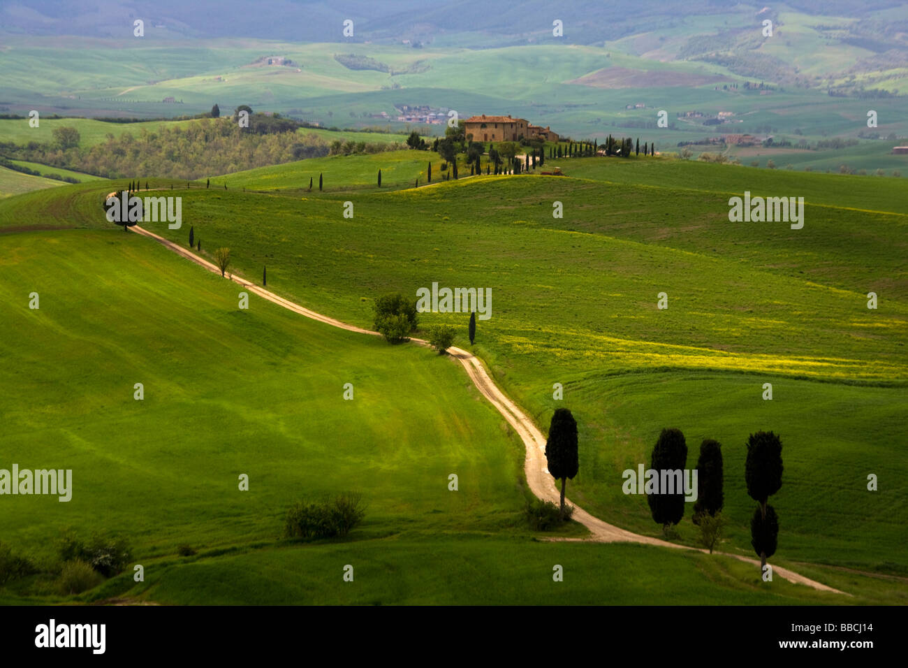 Country road lined with cypress tress leading to typical Tuscan farmhouse villa in the rolling hills of Tuscany, Italy. Stock Photo