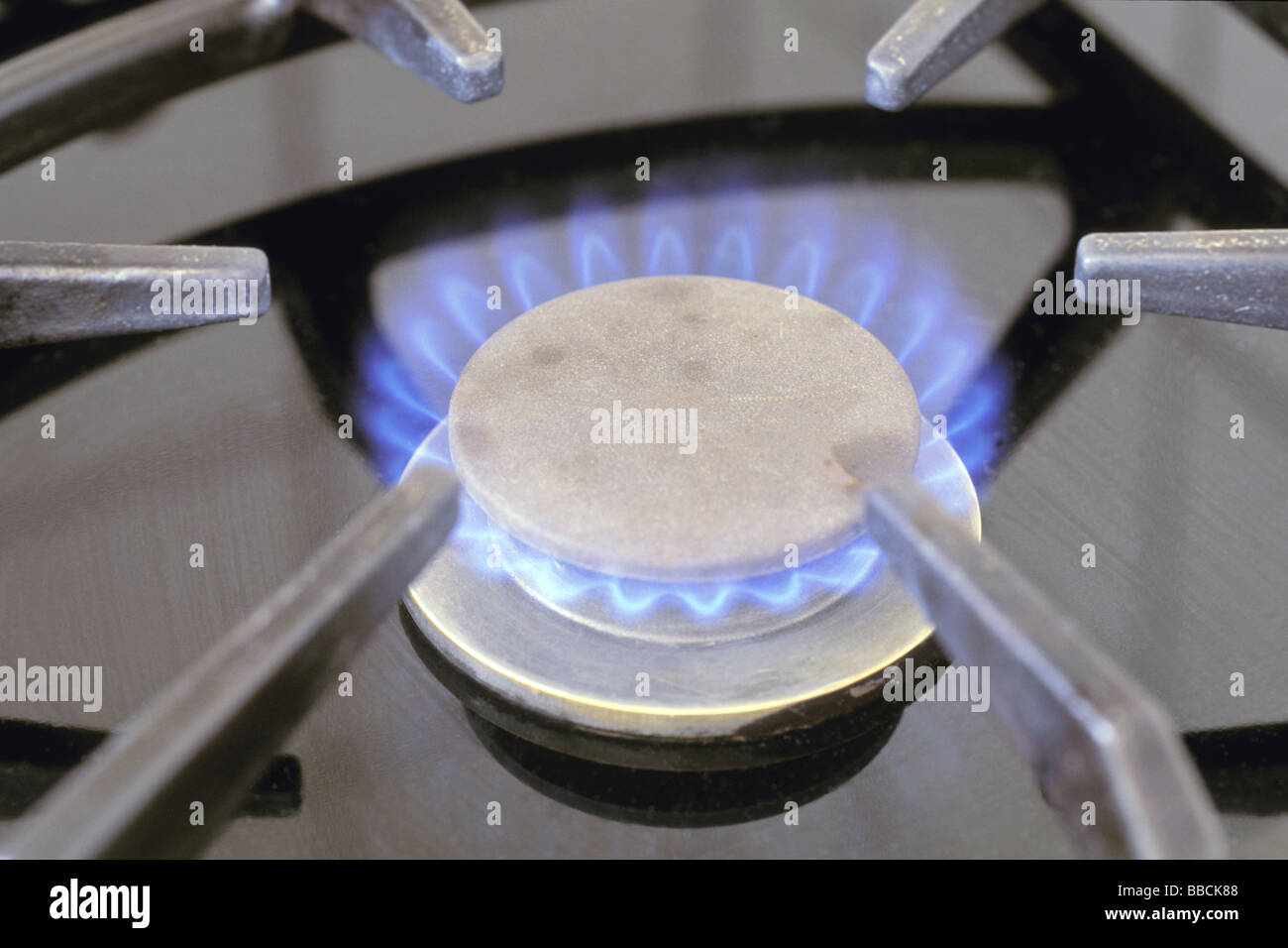 Gas flame on a gas stove Stock Photo Alamy