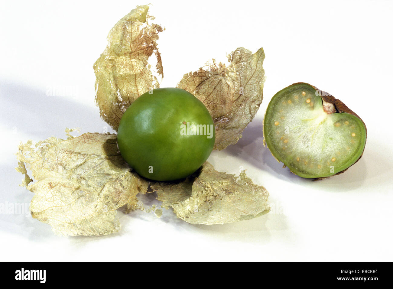 Tomatillo Plant Stock Photos & Tomatillo Plant Stock Images Alamy