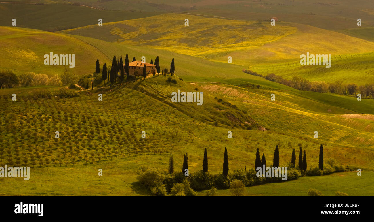 Late afternoon light and rolling tusacn hills with typical villa and cypress trees, Val d'orcia, Tuscany, Italy. Stock Photo