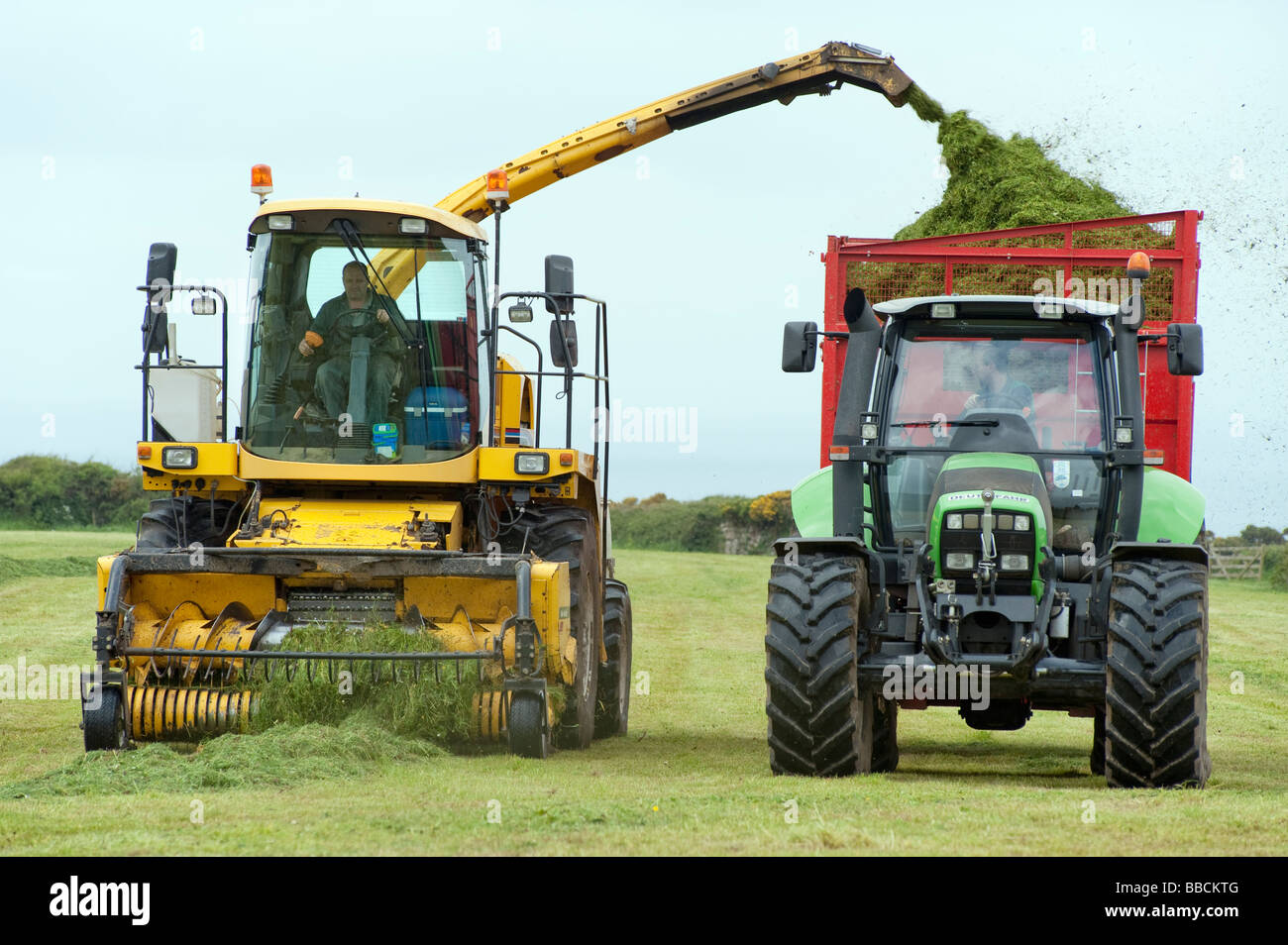 Gathering cut grass with tractor and blow machine Stock Photo