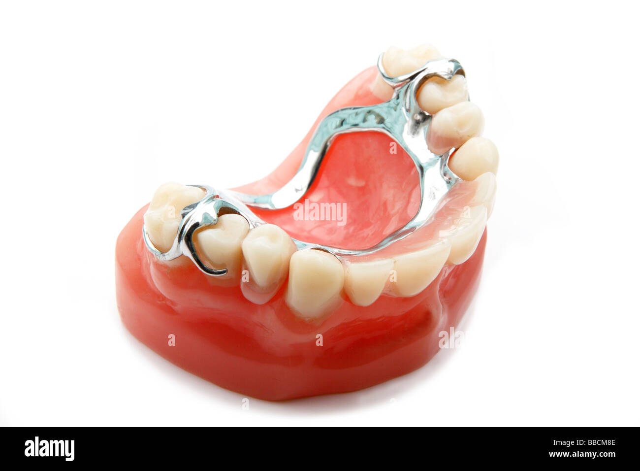 Partial denture on acrylic model Stock Photo Alamy