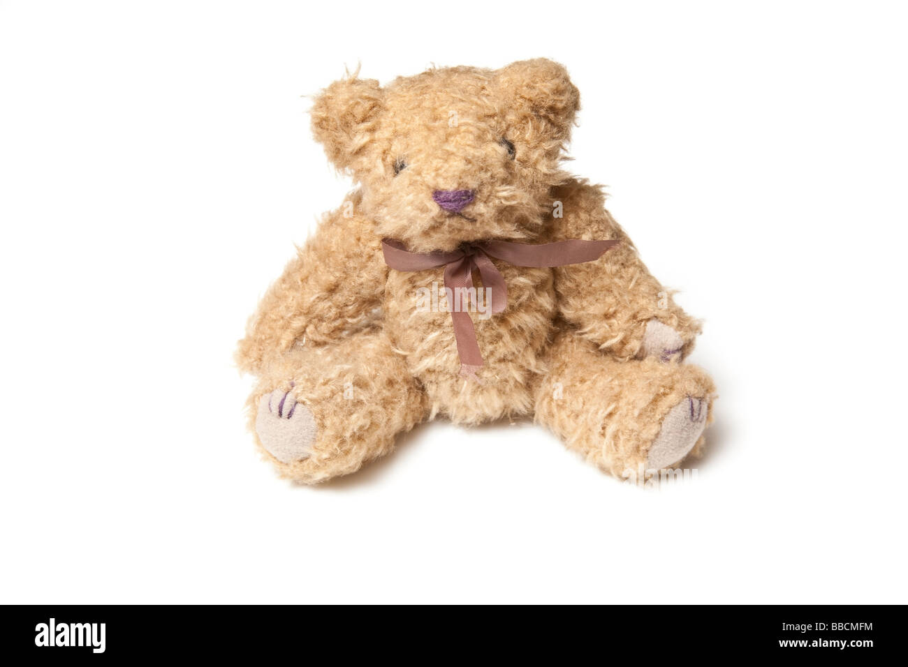 Teddy bear isolated on a white studio background Stock Photo - Alamy