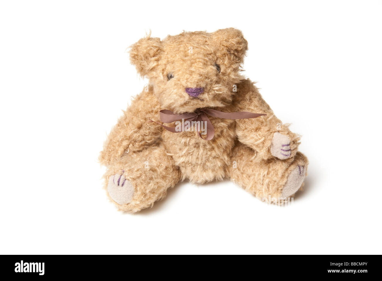 Teddy bear isolated on a white studio background Stock Photo - Alamy