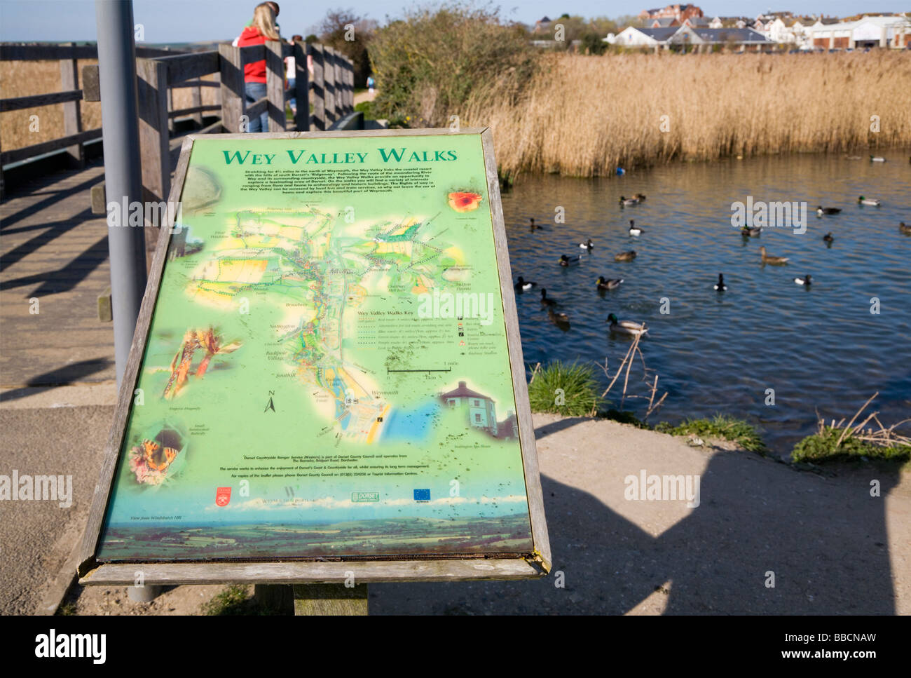 Map and directions at the start of the Wey Valley Walks. Radipole Lake