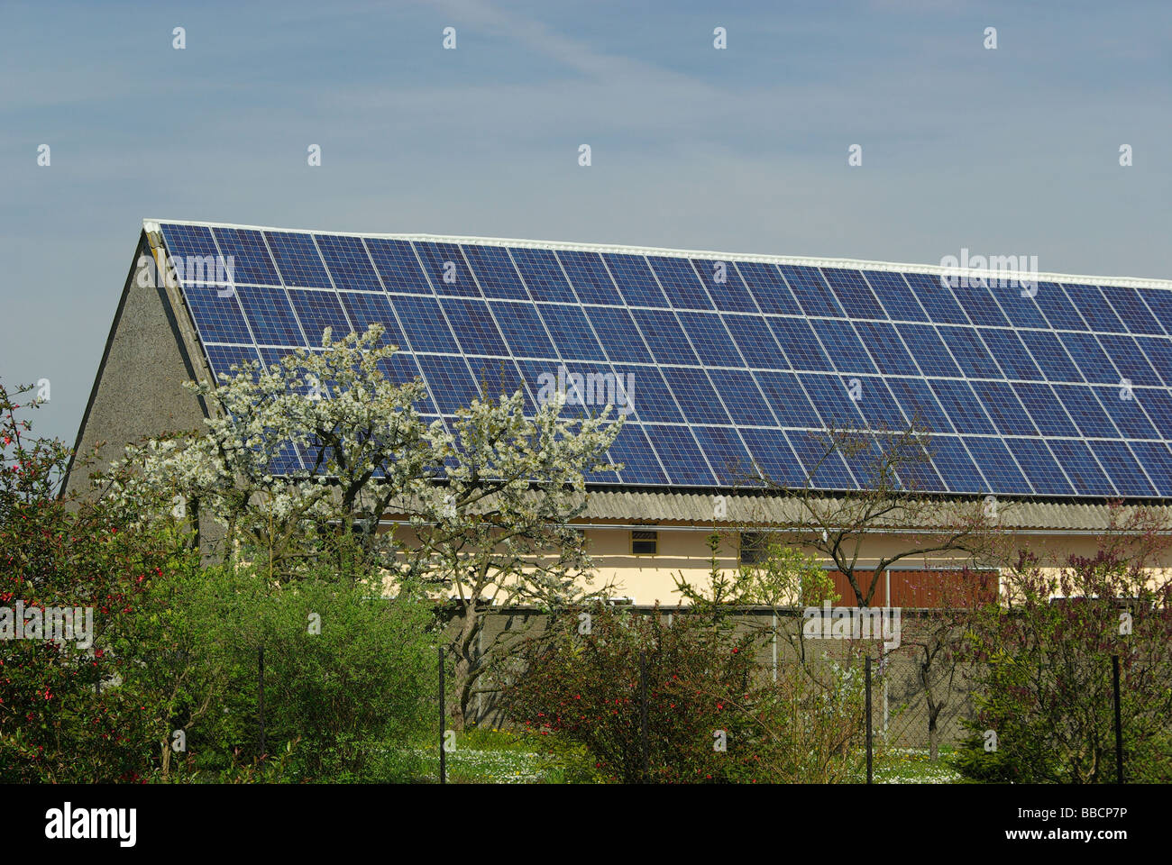 Solaranlage solar plant 37 Stock Photo