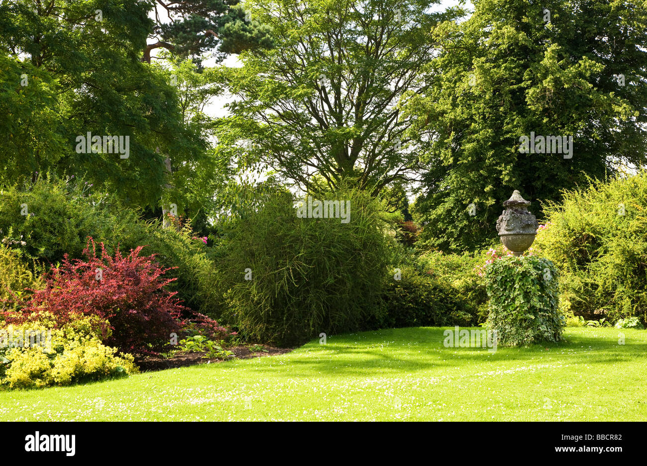 Large trees shrubs and bushes around a lawn at Waterperry Garden Oxfordshire England UK Great Britain Stock Photo