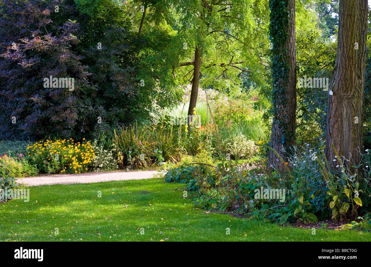 Large trees shrubs bushes and flower borders at Waterperry Garden Oxfordshire England UK Great Britain Stock Photo