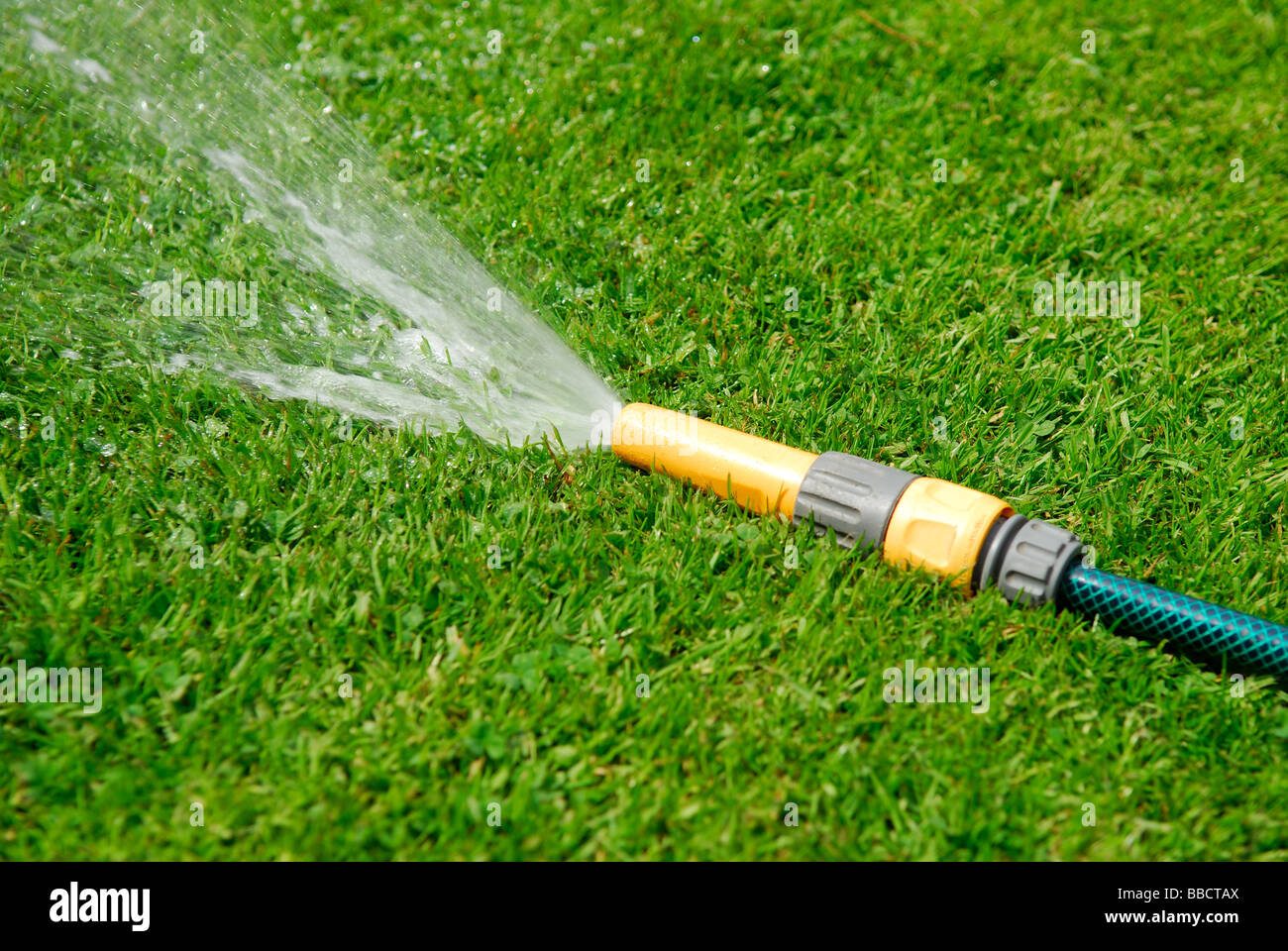 Hosepipe Watering Garden Stock Photo Alamy