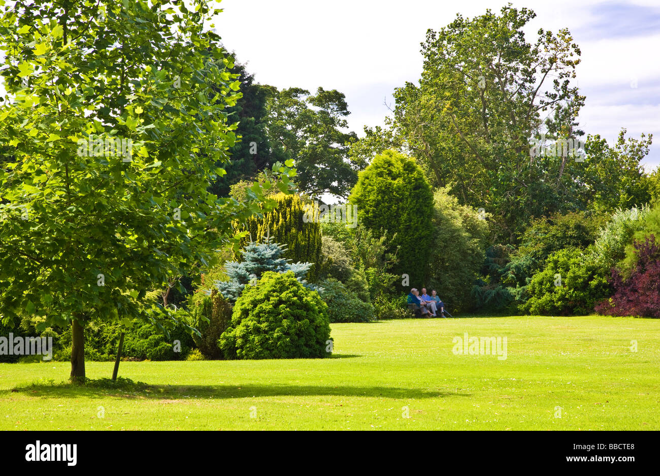 Four elderly people sitting on a bench in a shady spot of a garden or park lawn surrounded by large trees shrubs and bushes Stock Photo