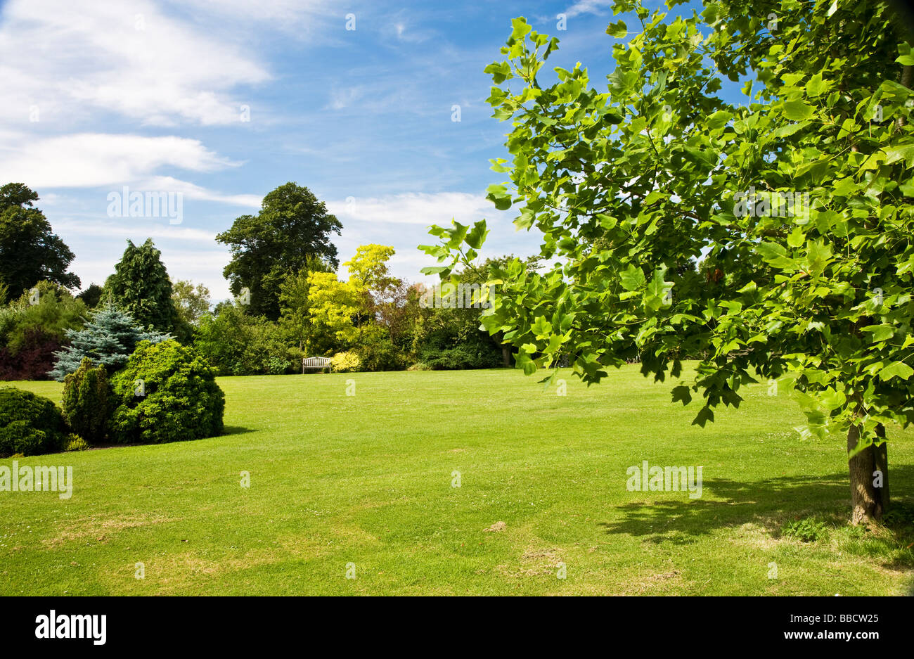 Large trees shrubs and bushes around a lawn at Waterperry Garden