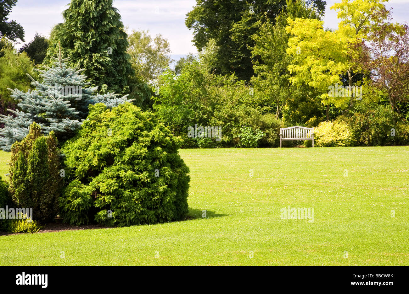 Large trees shrubs and bushes around a lawn at Waterperry Garden Oxfordshire England UK Great Britain Stock Photo