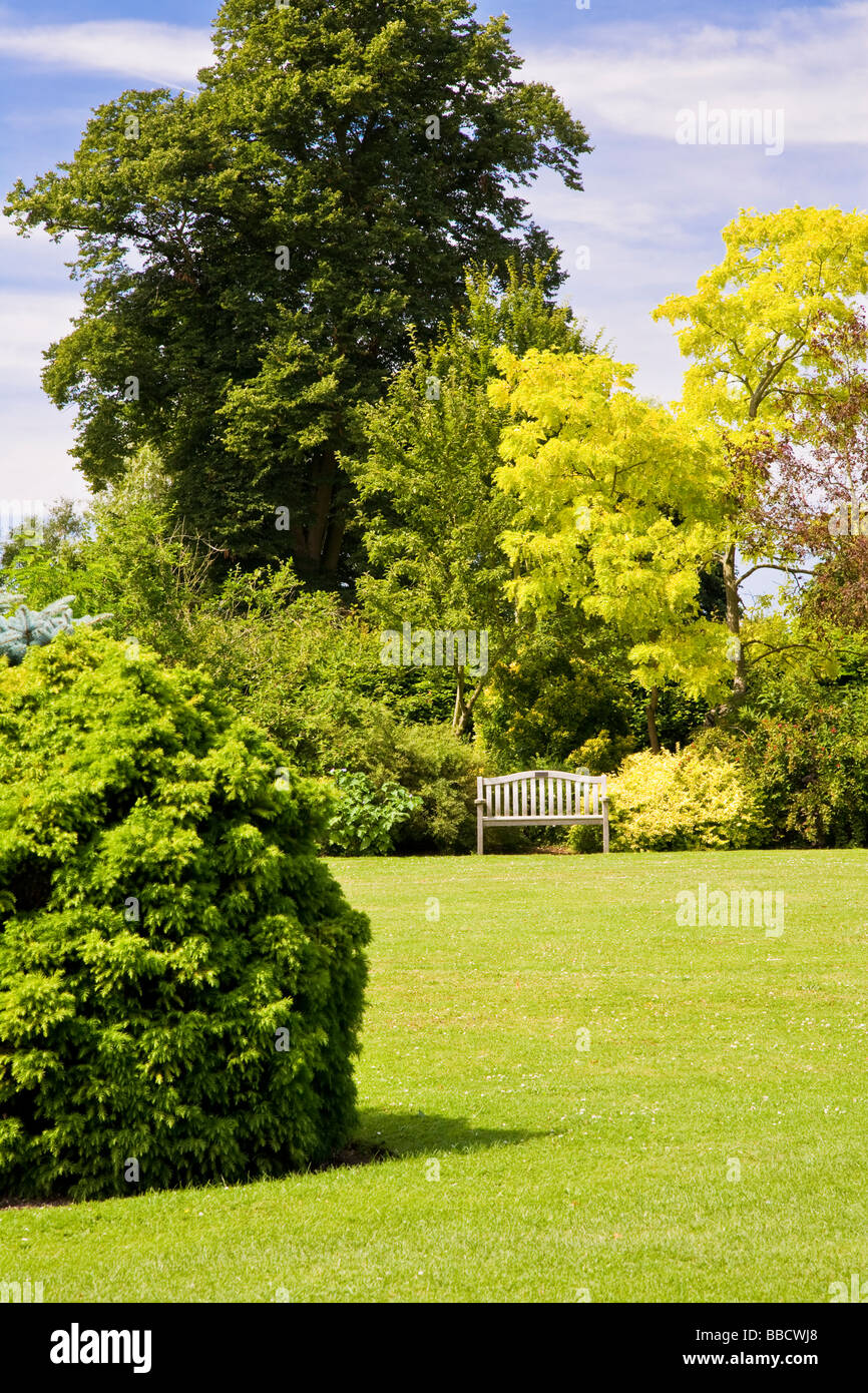 Large trees shrubs and bushes around a lawn at Waterperry Garden