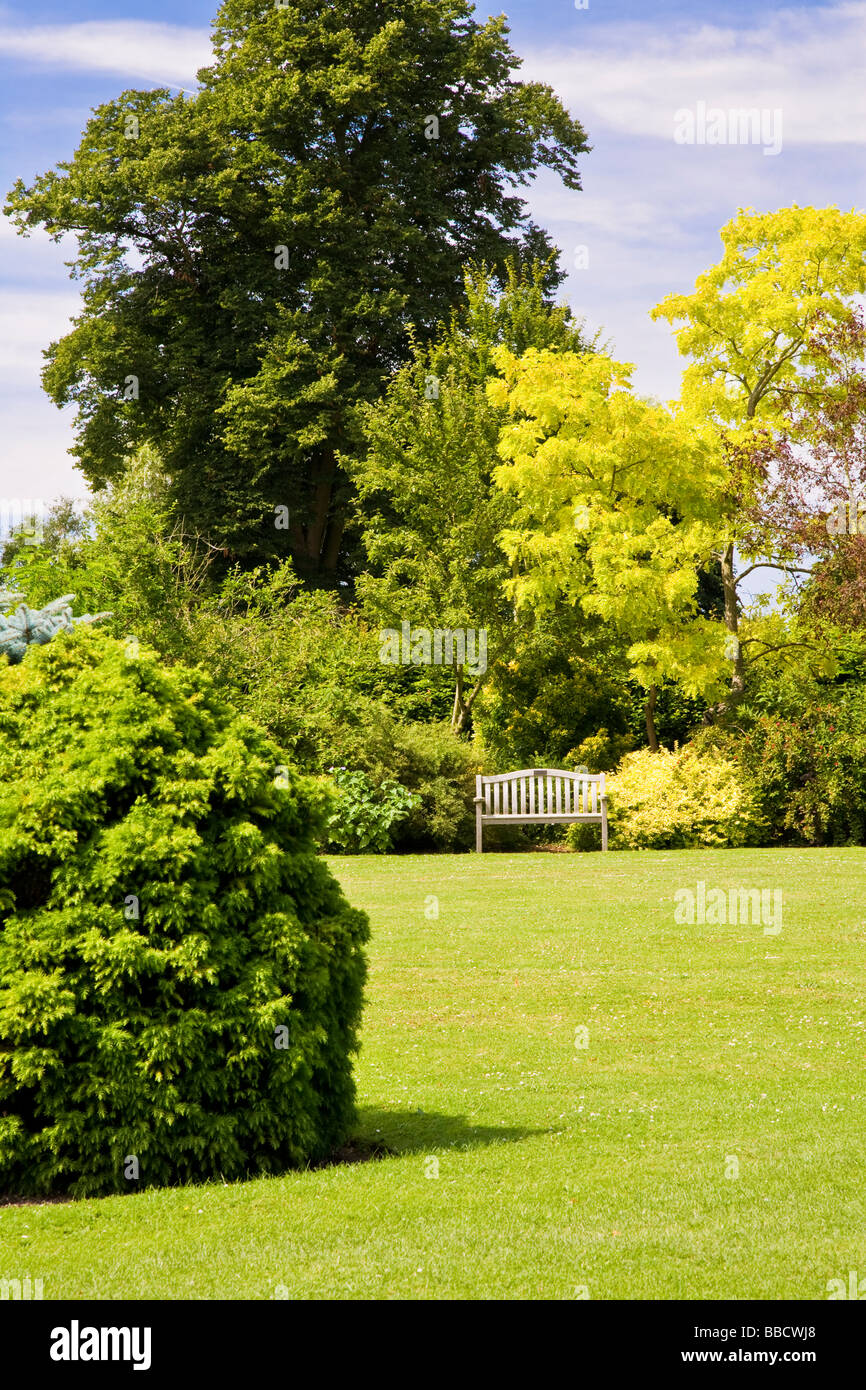 Large trees shrubs and bushes around a lawn at Waterperry Garden Oxfordshire England UK Great Britain Stock Photo