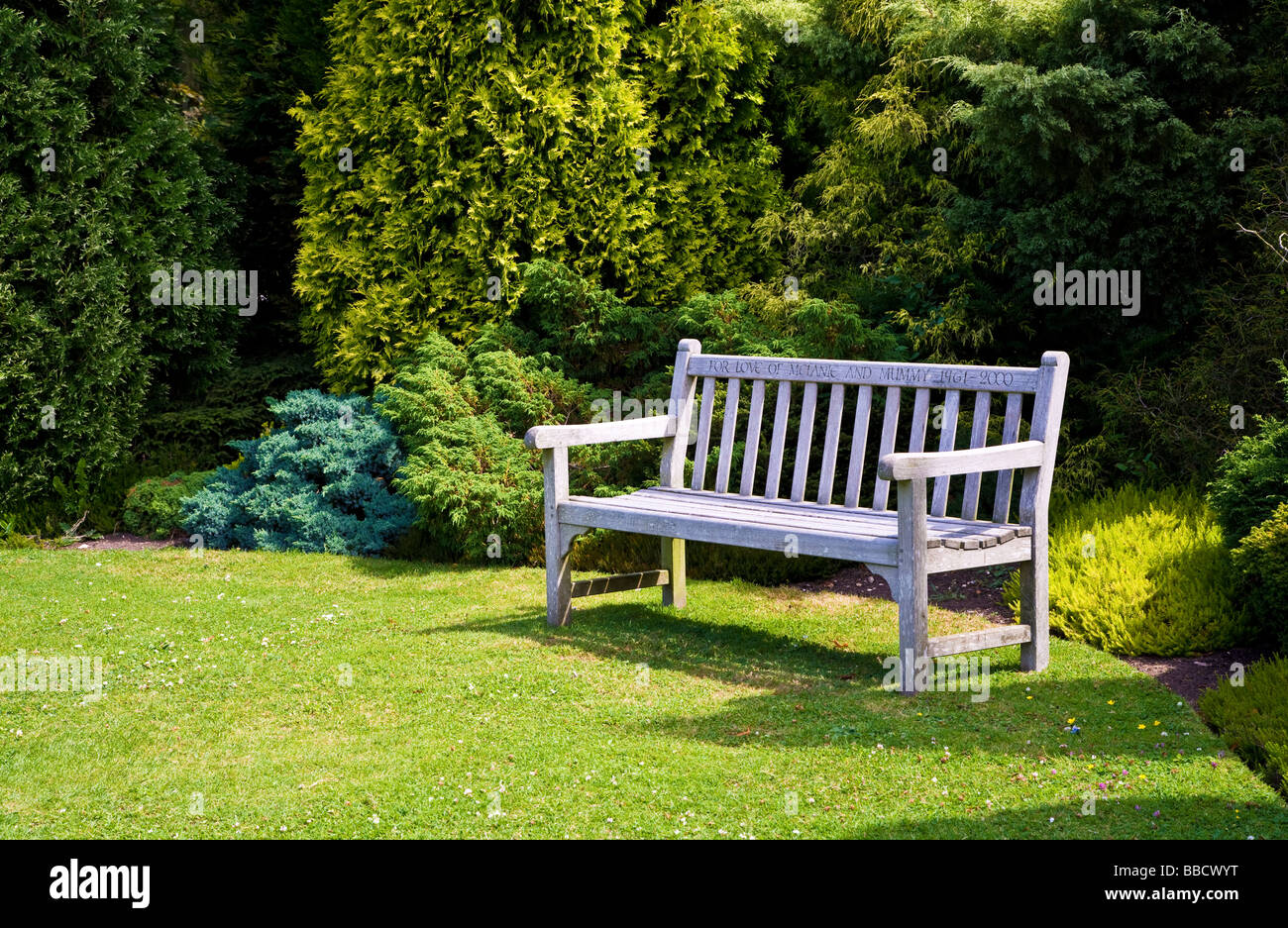 Wooden memorial garden seat or bench with evergreen trees behind at Waterperry Garden Oxfordshire England UK Great Britain Stock Photo