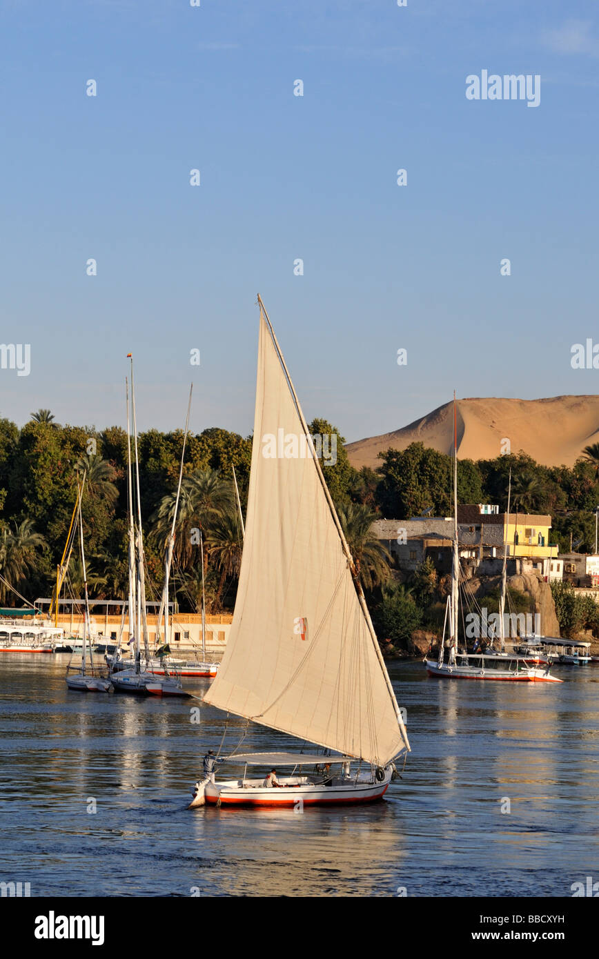 Felucca On River Nile in Aswan Egypt Stock Photo - Alamy