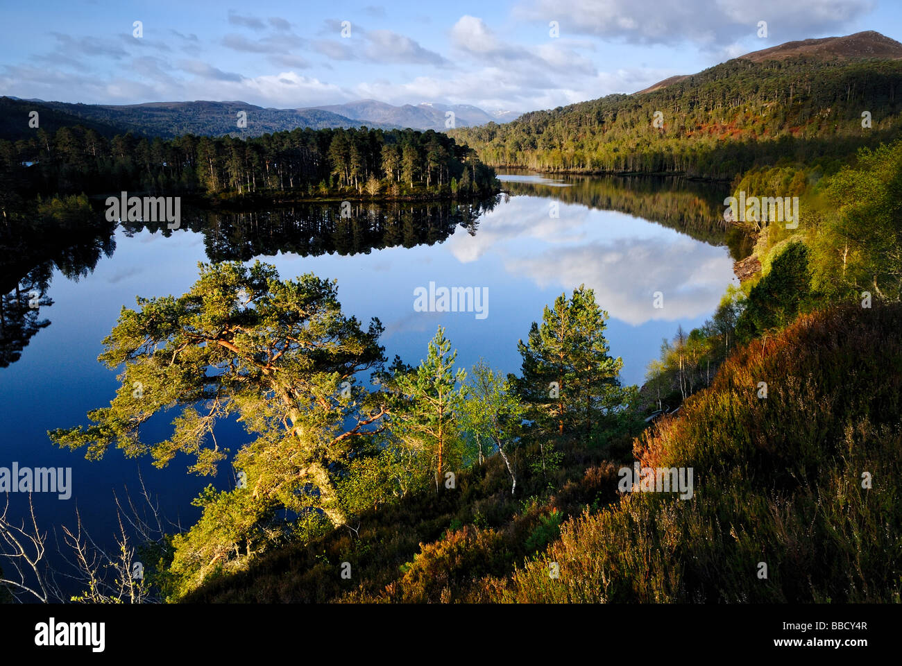 Glen Affric Sunrise Stock Photo Alamy