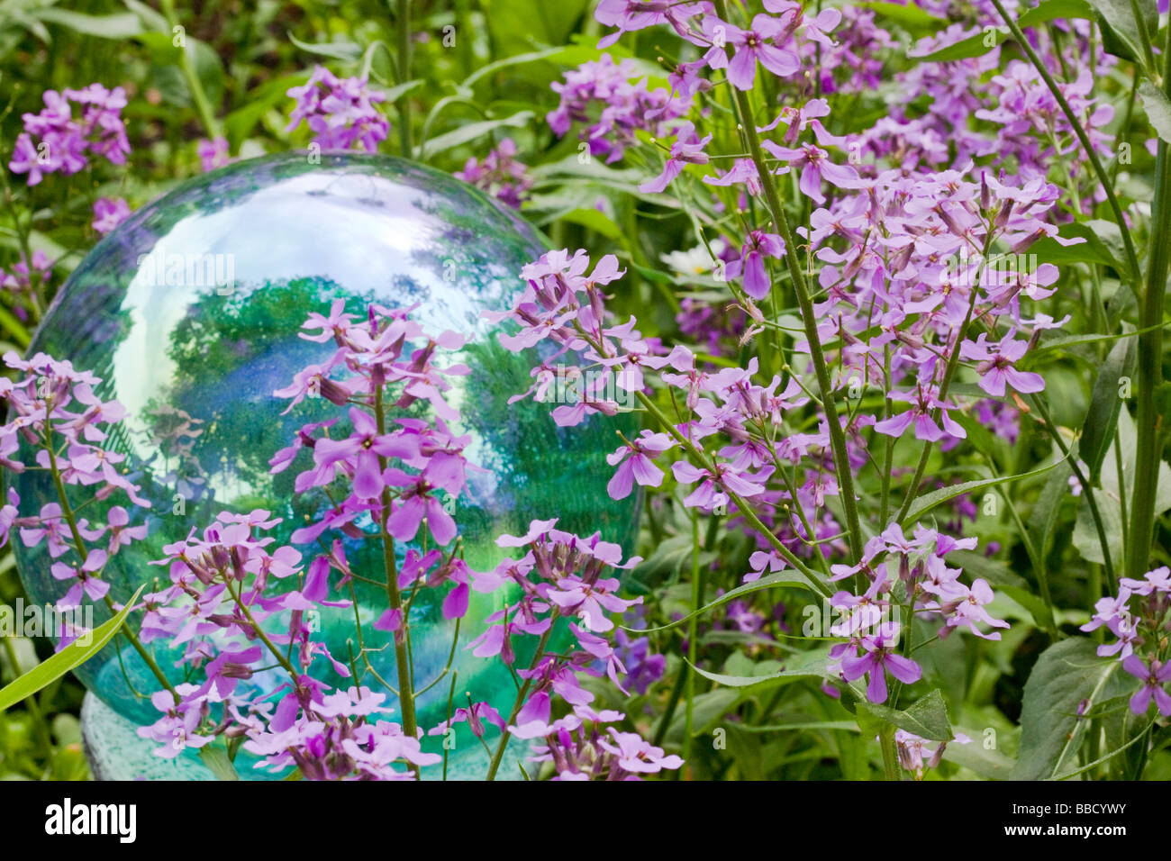 Gazing ball surrounded by wildflowers in garden Stock Photo Alamy