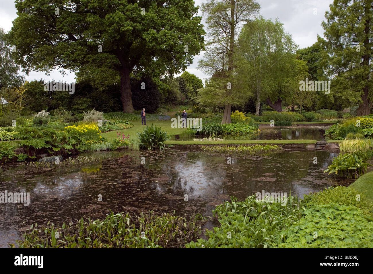 The Beth Chatto Gardens Elmstead Market near Colchester Essex COPYRIGHT