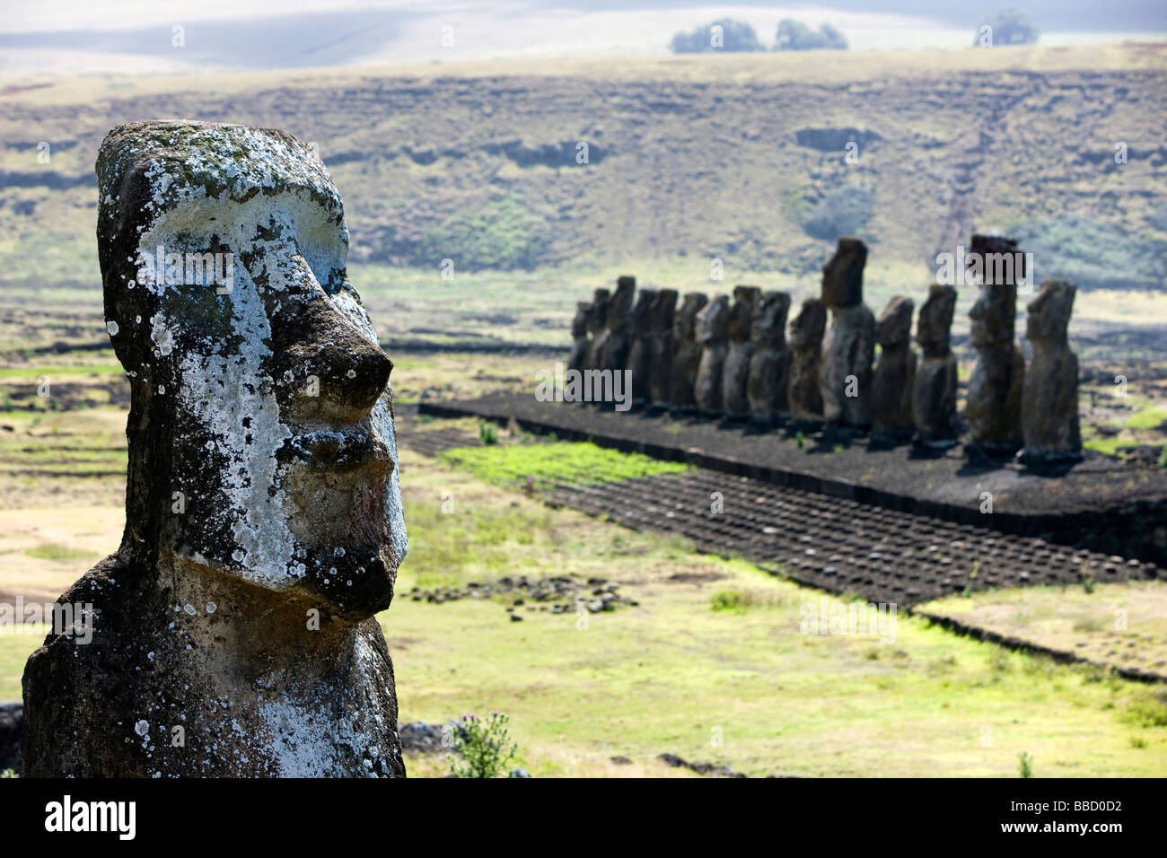 Moai statues of Rapa Nui ( Easter Island) Stock Photo