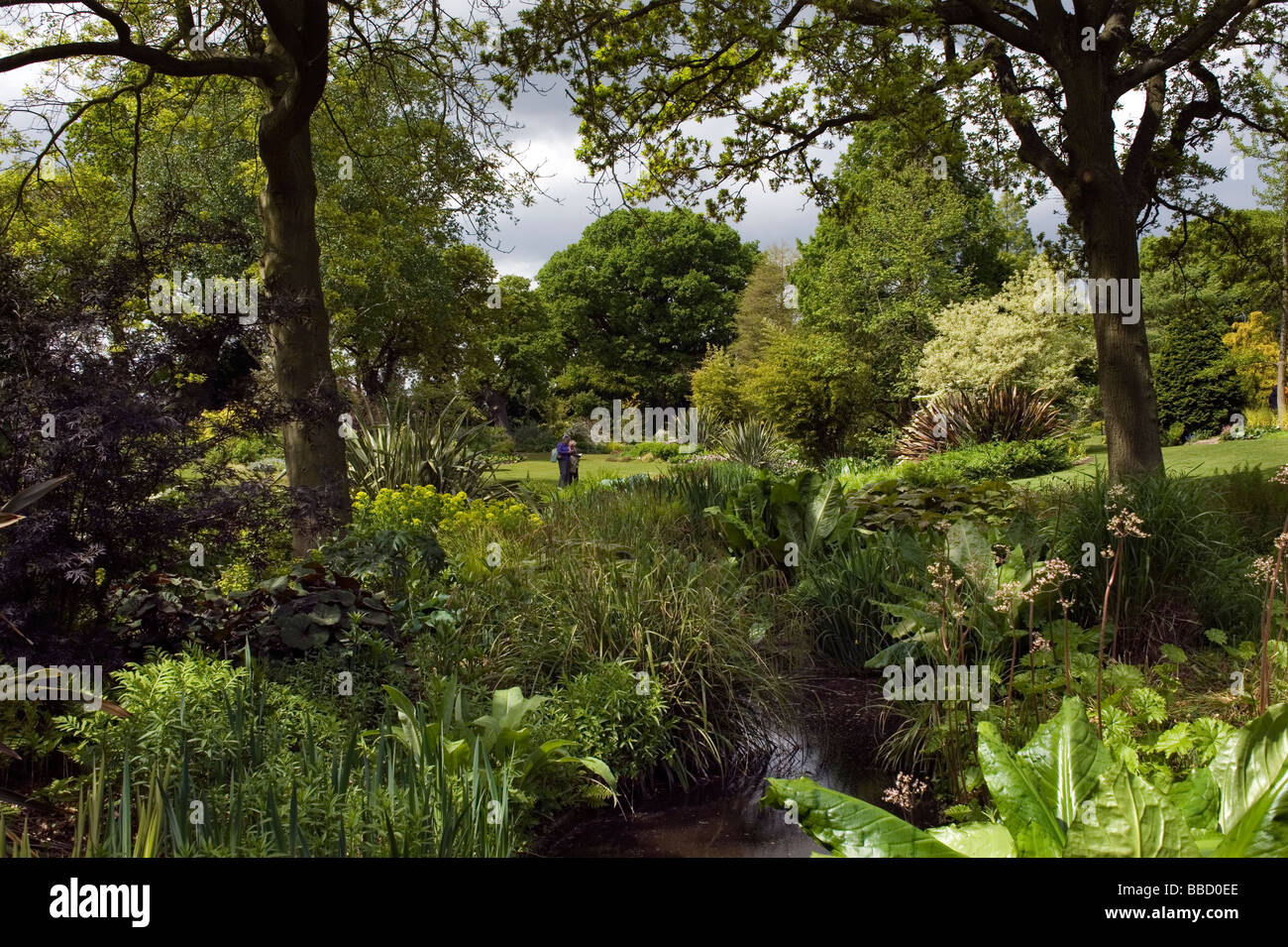 The Beth Chatto Gardens Elmstead Market near Colchester Essex 2009