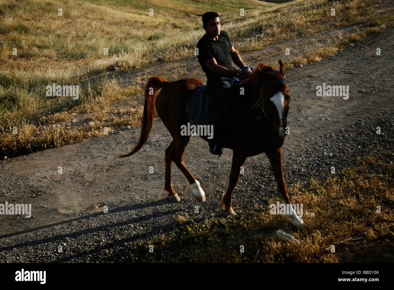 A Bedouin man rides his horse, El Araqeeb, Israel Stock Photo