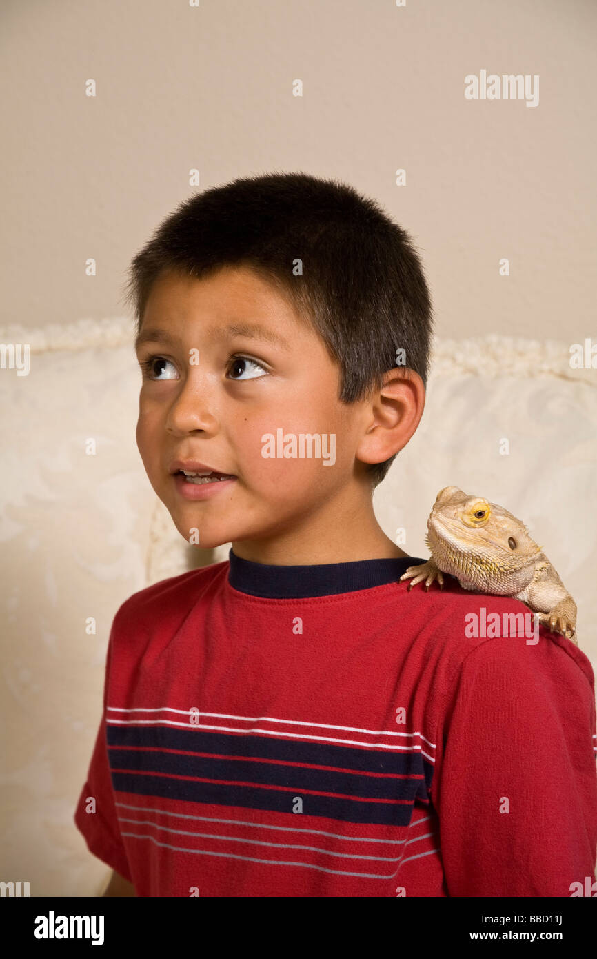 Hispanic ethnicity boy 6-8 years old Bearded Dragon on shoulder big eyes expression expressive  looking up silhouette closeup California Stock Photo