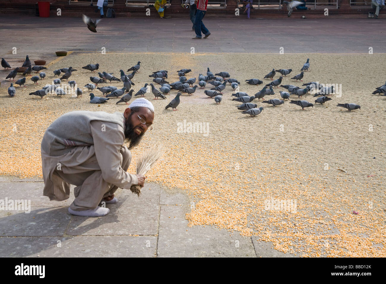 Man feeding pigeons in the courtyard of the Jama Masjid Mosque, Old Delhi, Delhi, India Stock Photo