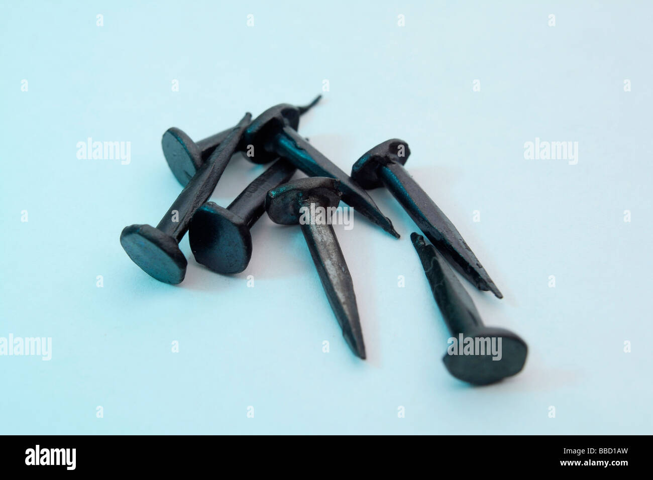 Carpet tacks Stock Photo 24258049 Alamy