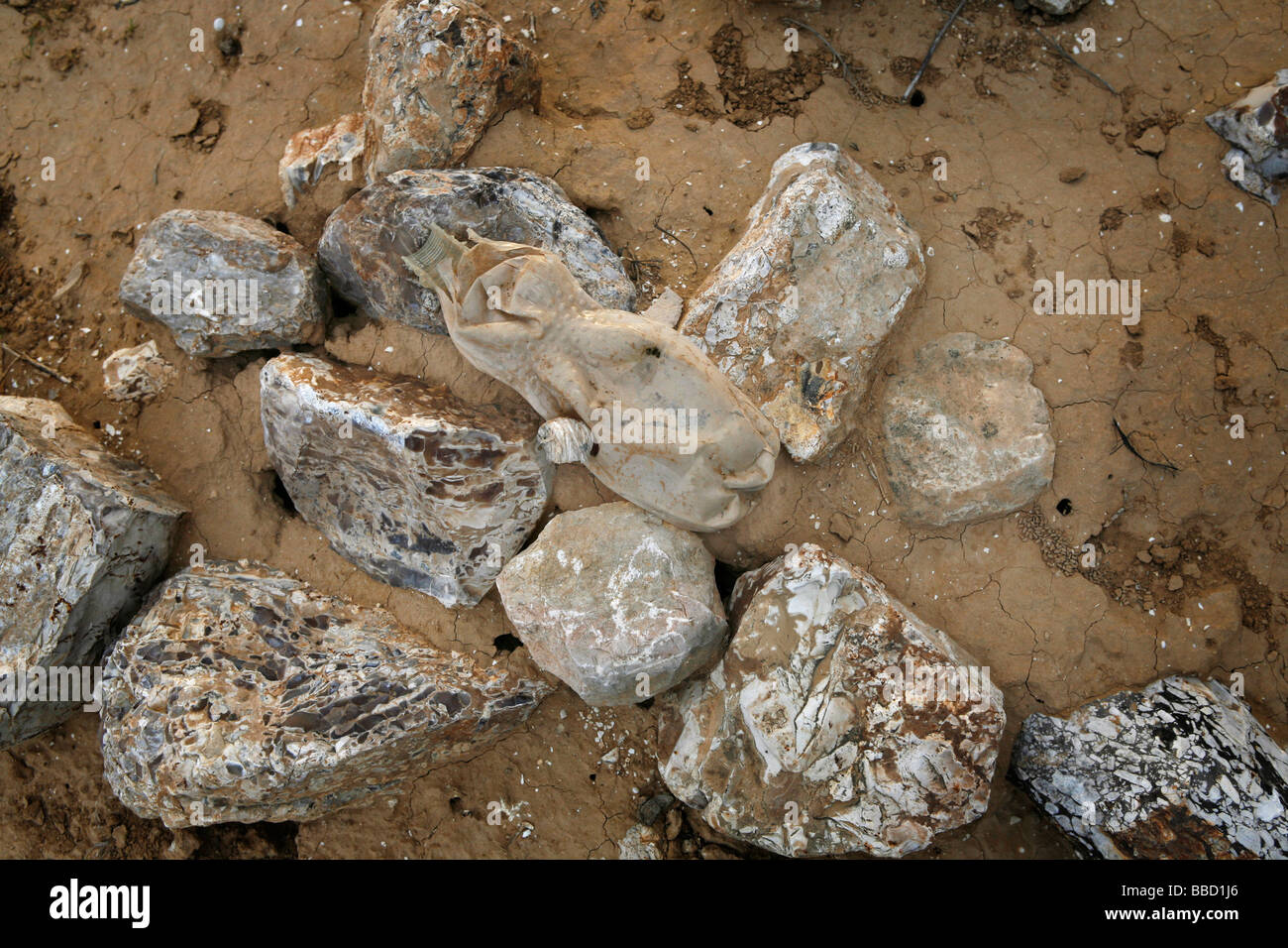 A discarded plastic bottle used to smoke drugs. Wadi ' Nam, Hura, Israel. Stock Photo