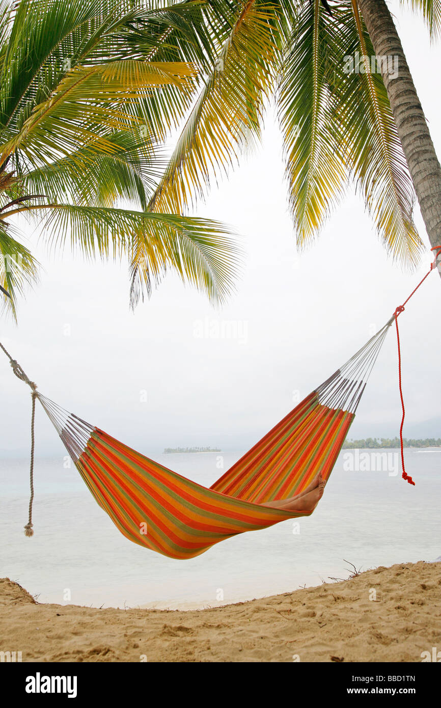 Hammock hanging from palm trees Stock Photo Alamy