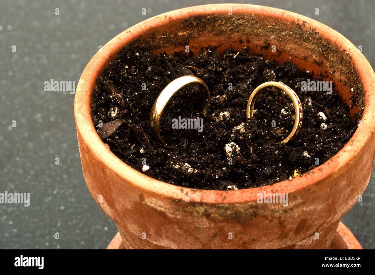 A wedding ring and an eternity ring in a flower pot filled with soil Stock Photo