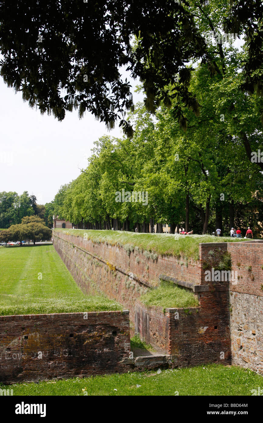 A  section  of the massively thick medieval wall which surrounds LUCCA .one of Tuscany's most beautiful cities, Stock Photo