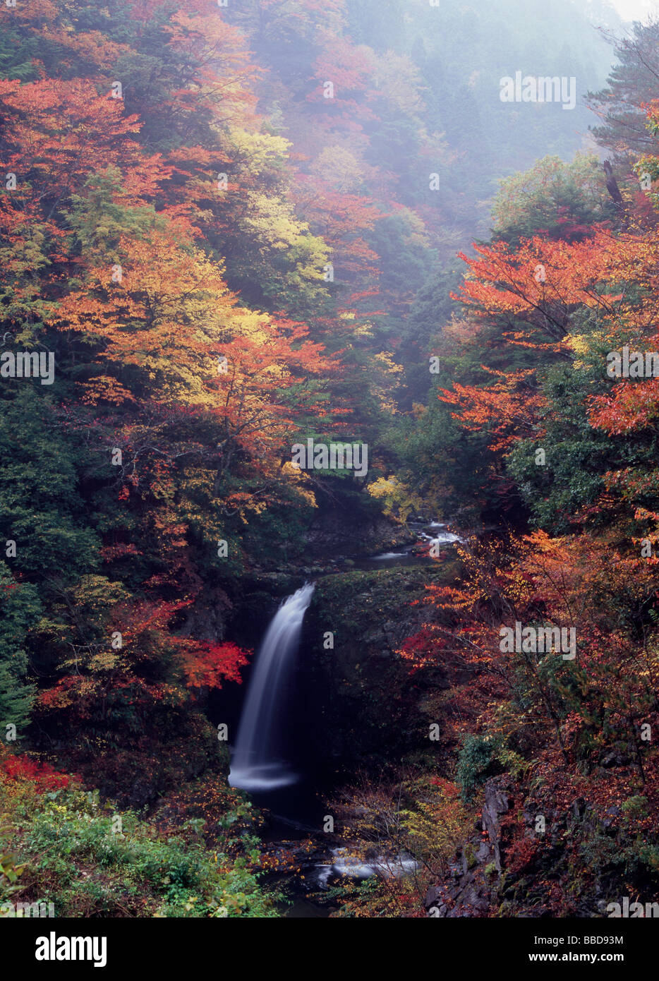 Autumn Leaves And Waterfall Stock Photo - Alamy