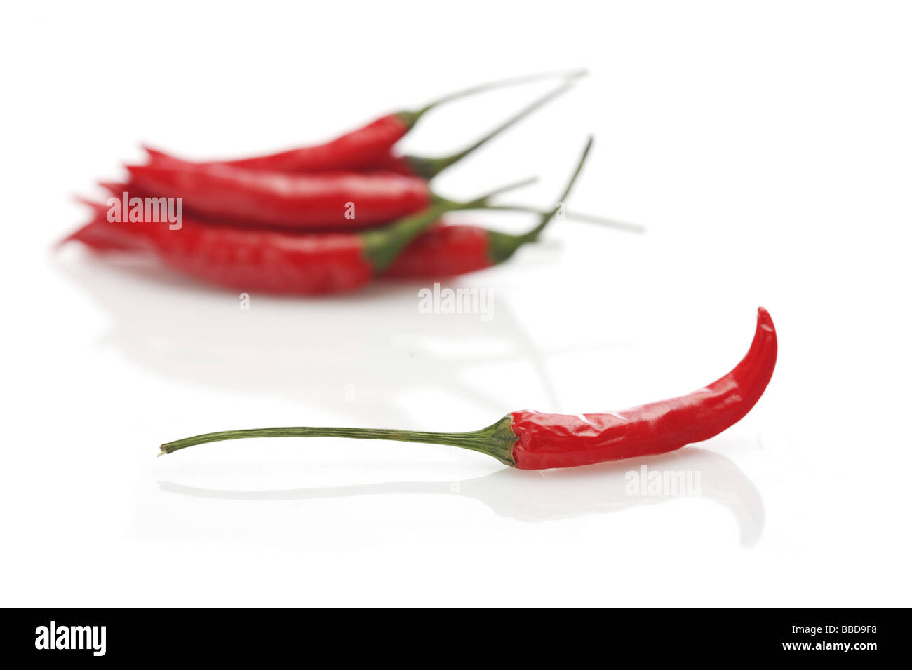 Chilli peppers red and hot on white background Stock Photo - Alamy