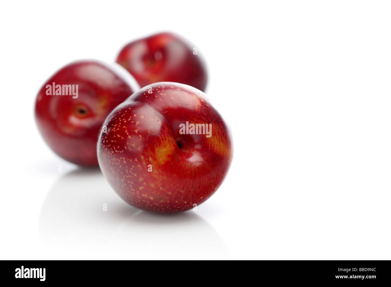 red plum Stock Photo
