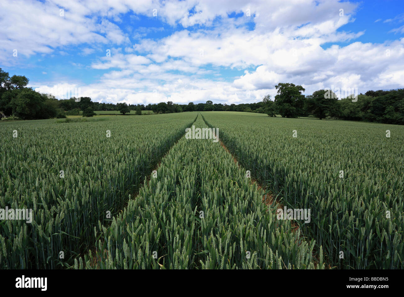 Parallel lines field hi-res stock photography and images - Alamy