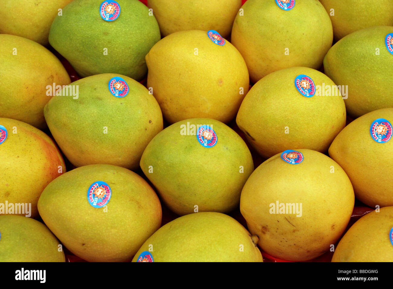 Mangoes at Sydney Fish Market Stock Photo Alamy
