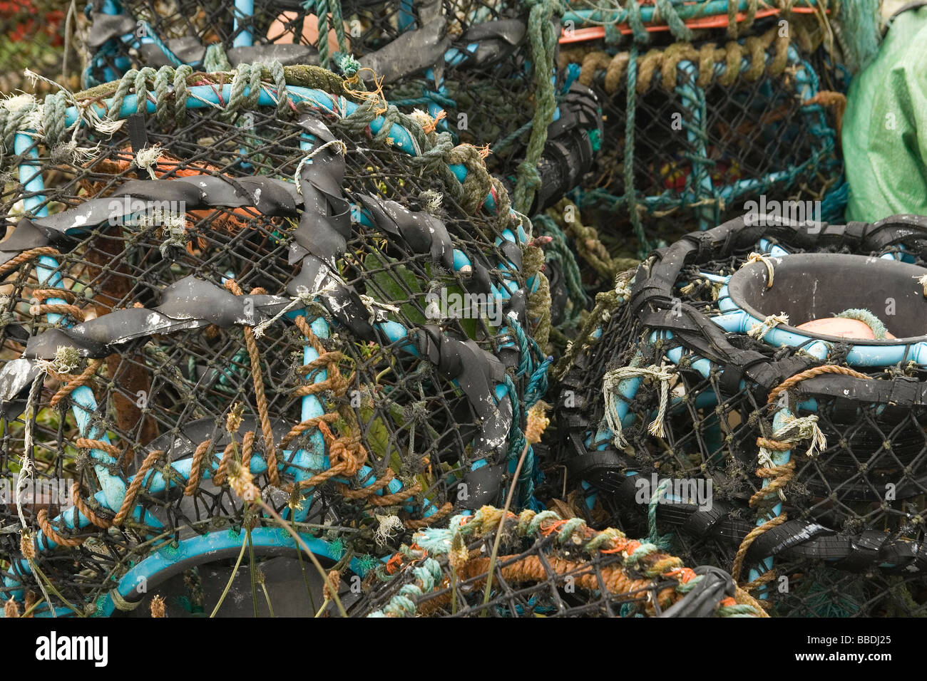 close up of lobster pots Stock Photo Alamy