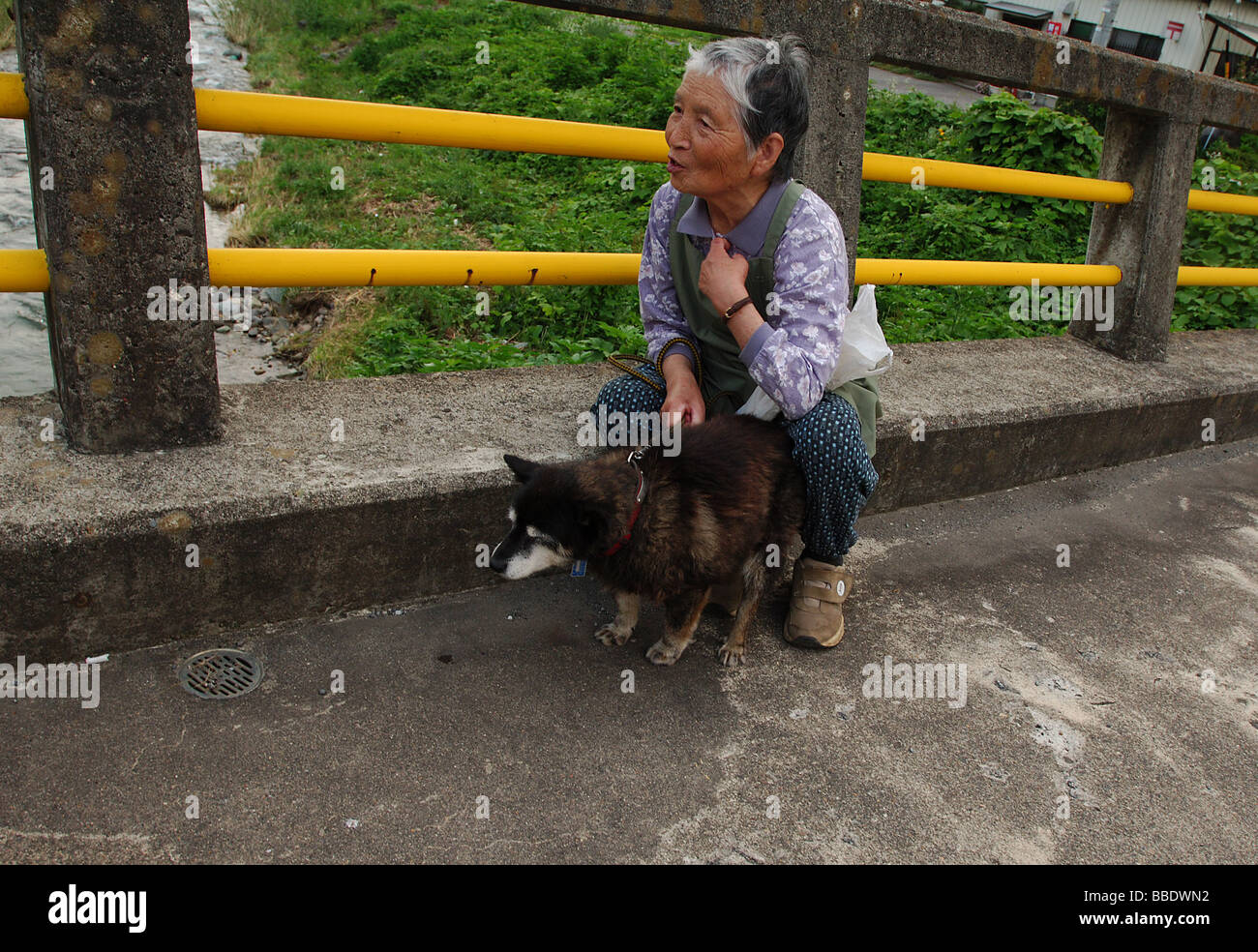 Japanese Lady with her dog in Nagano Japan Stock Photo