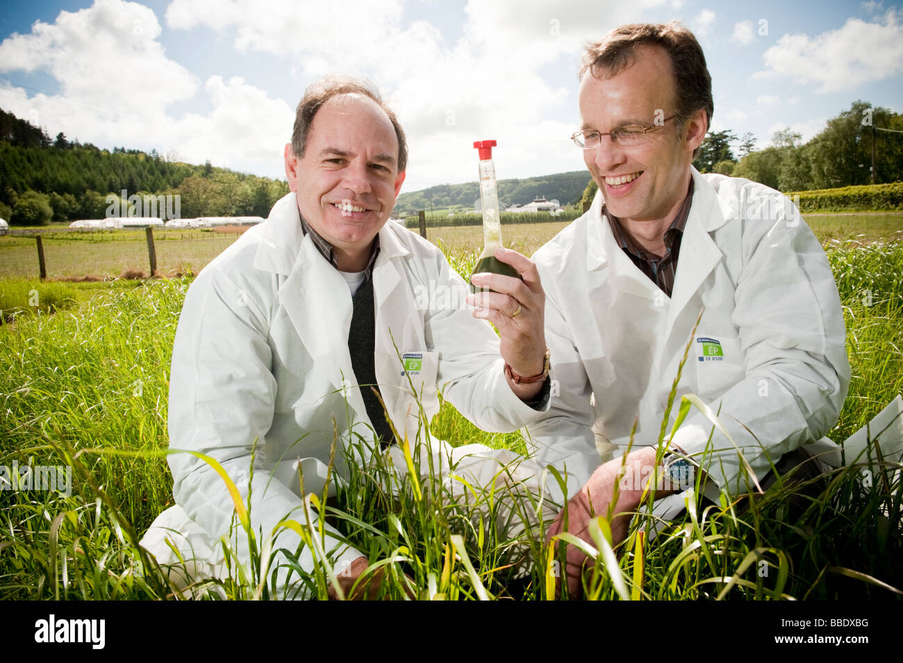 Mike Morris and Joe Gallagher of IBERS with their project to extract bio-ethanol fuel from ryegrass, Aberystwyth University, UK Stock Photo