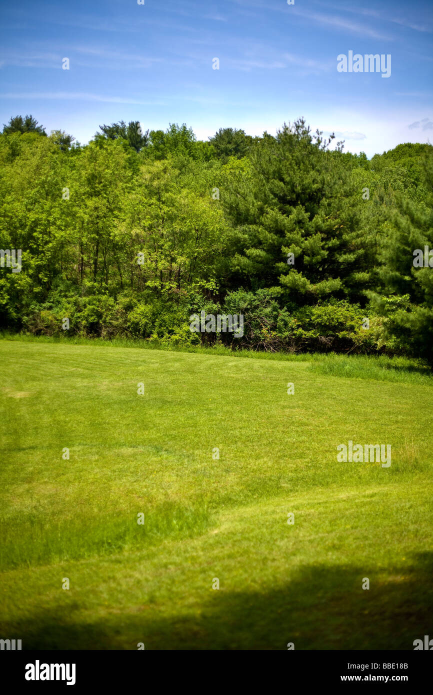 Grreen background hi-res stock photography and images - Alamy