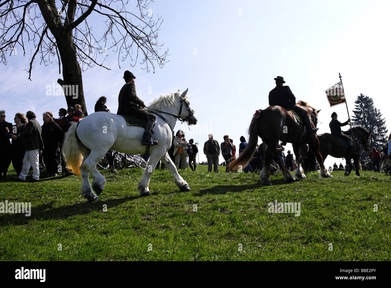 Saint Horse Parade Traunstein Bavaria Germany Stock Photo Alamy